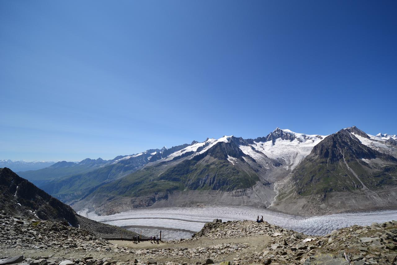 Appartmenthaus Bergfreund Fiesch Dış mekan fotoğraf