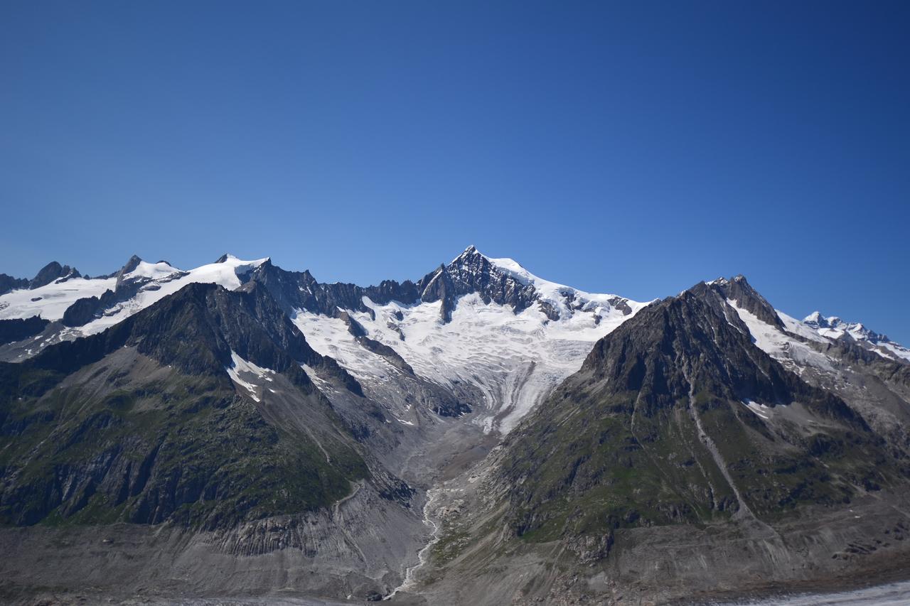 Appartmenthaus Bergfreund Fiesch Dış mekan fotoğraf
